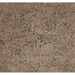Proline Seamless Coquina Stone